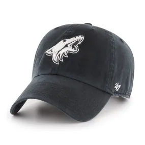 ARIZONA COYOTES '47 CLEAN UP