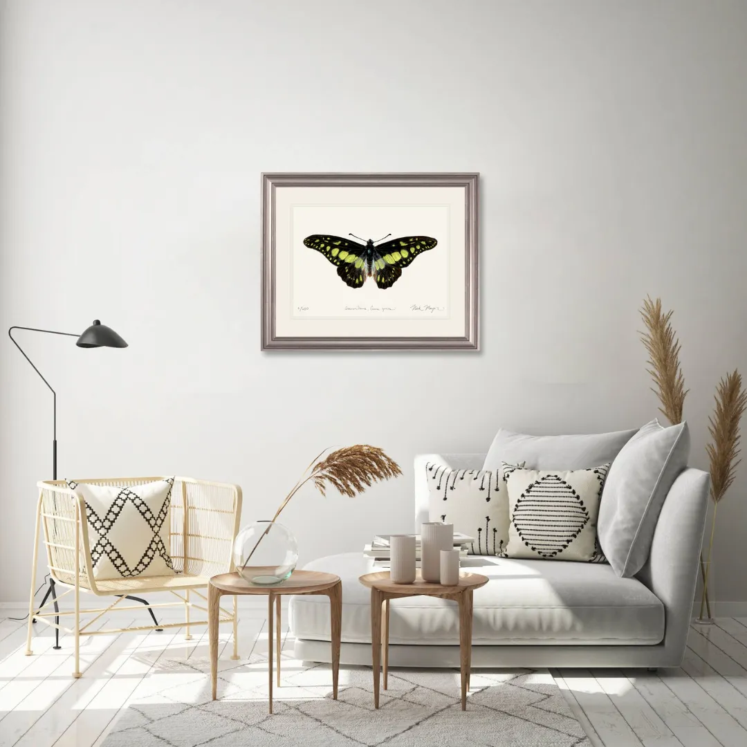 Electric Green Swordtail Butterfly Print