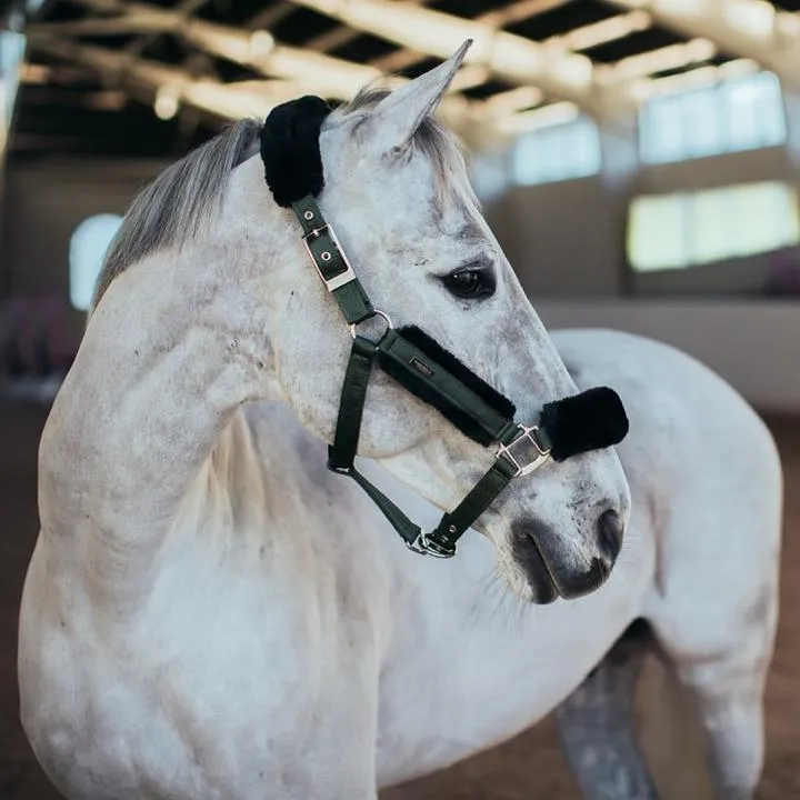 Equestrian Stockholm Fur Lined Halter and Lead Set DEEP OLIVINE