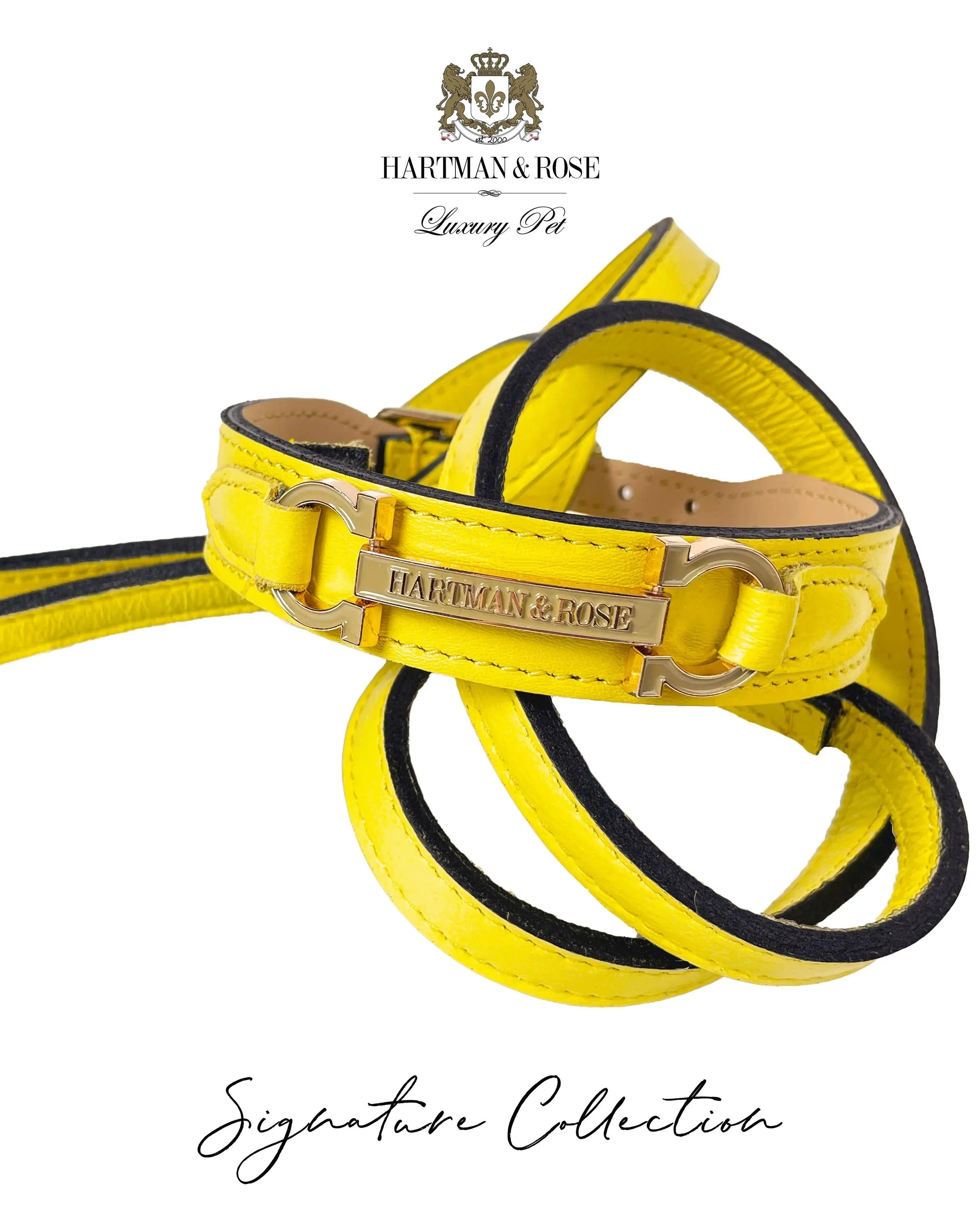 Signature Dog Collar in Canary Yellow & Gold