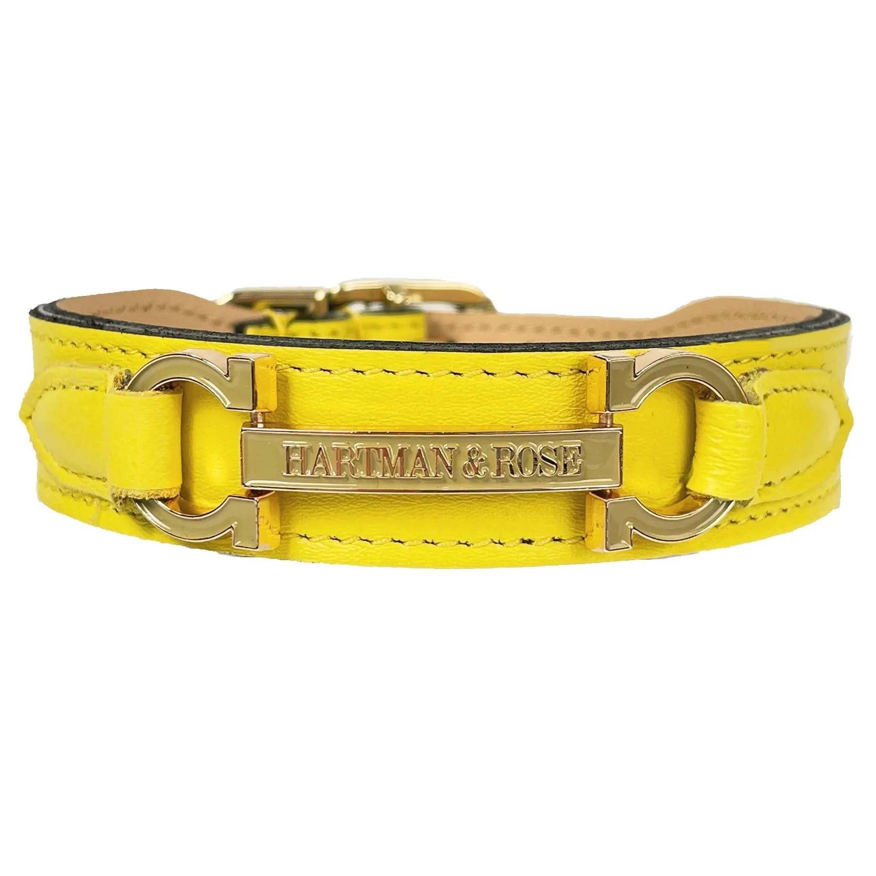 Signature Dog Collar in Canary Yellow & Gold