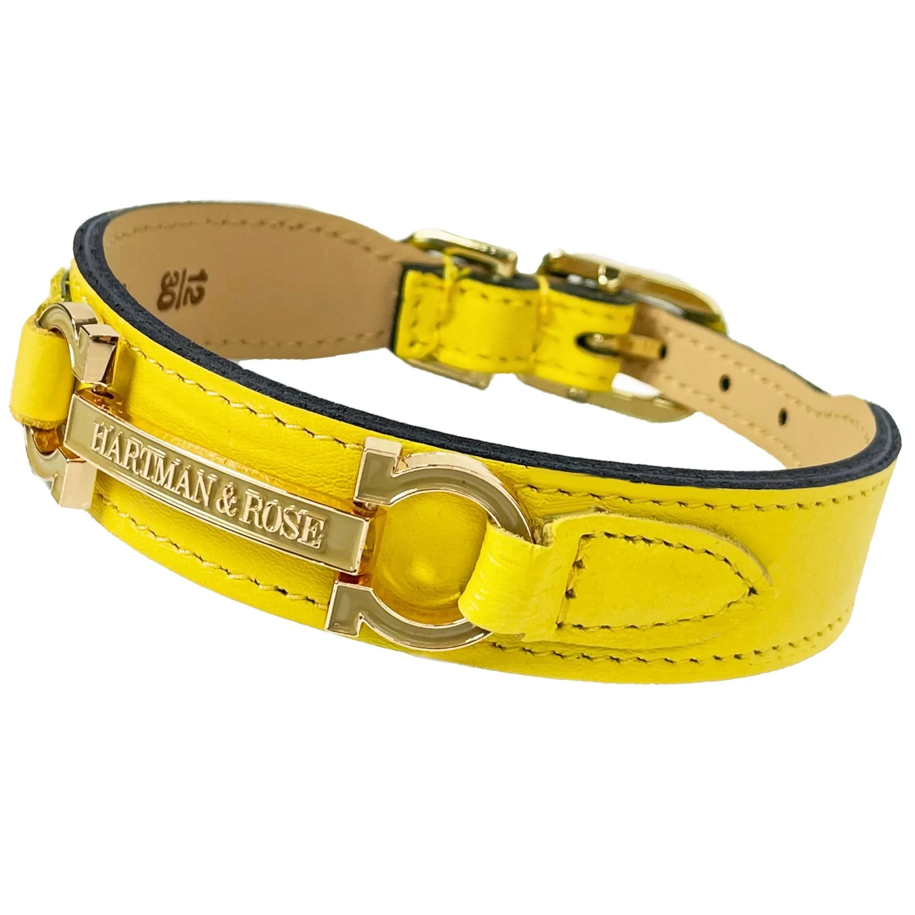 Signature Dog Collar in Canary Yellow & Gold