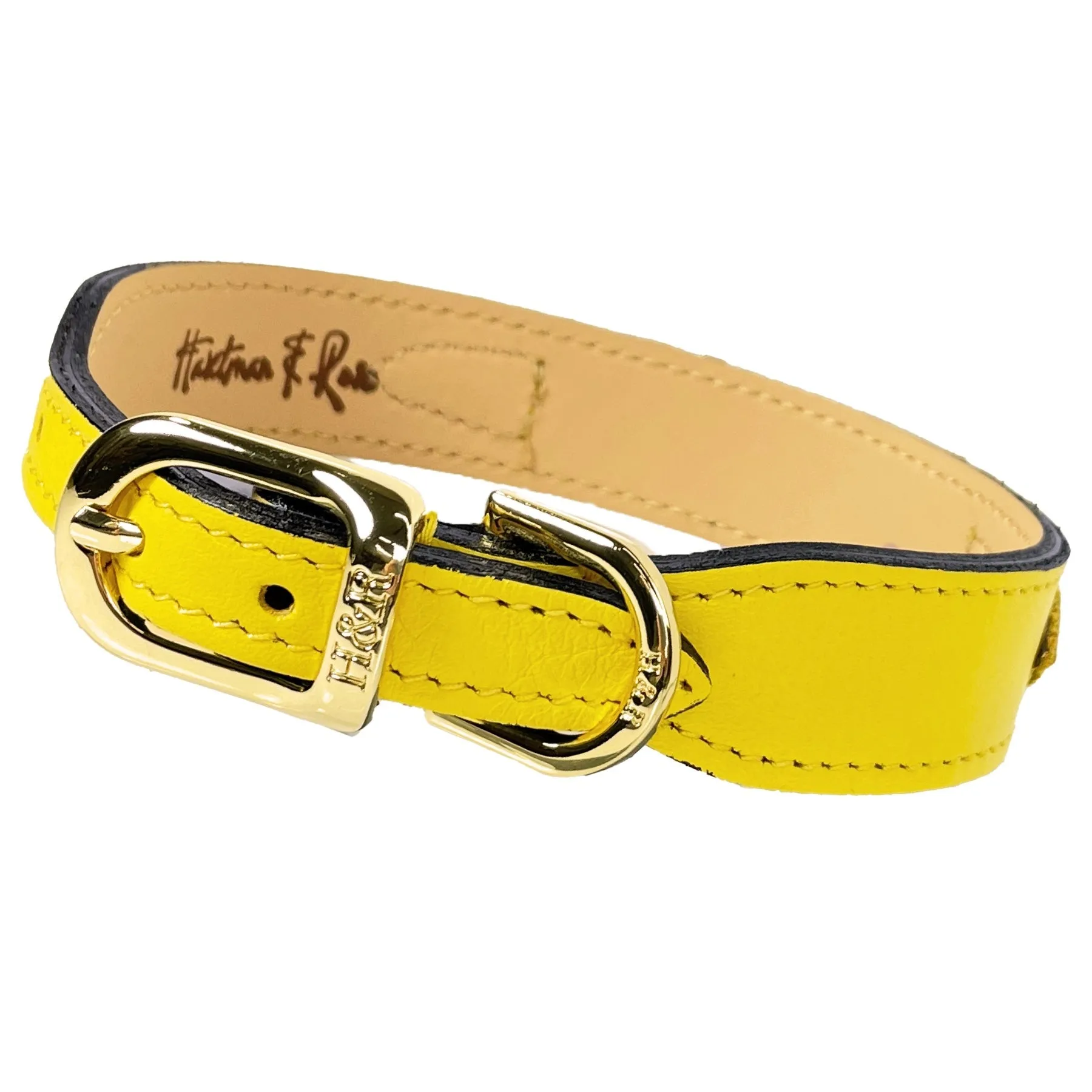 Signature Dog Collar in Canary Yellow & Gold