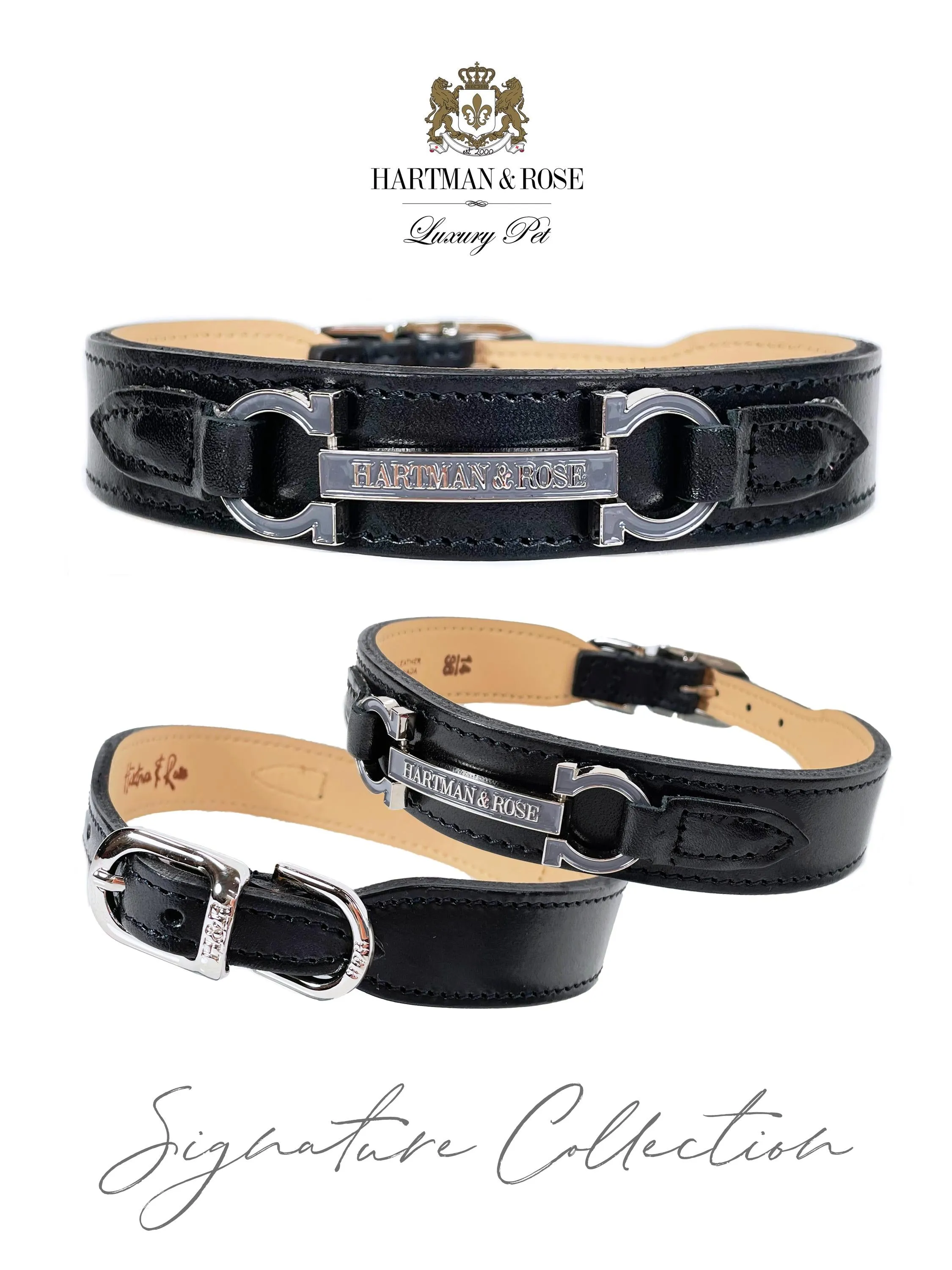 Signature Dog Collar in Jet Black & Nickel