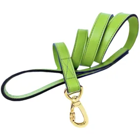 Signature Dog Leash in Lime Green & Gold